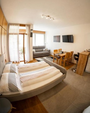 Flow Apartments Astoria Merano
